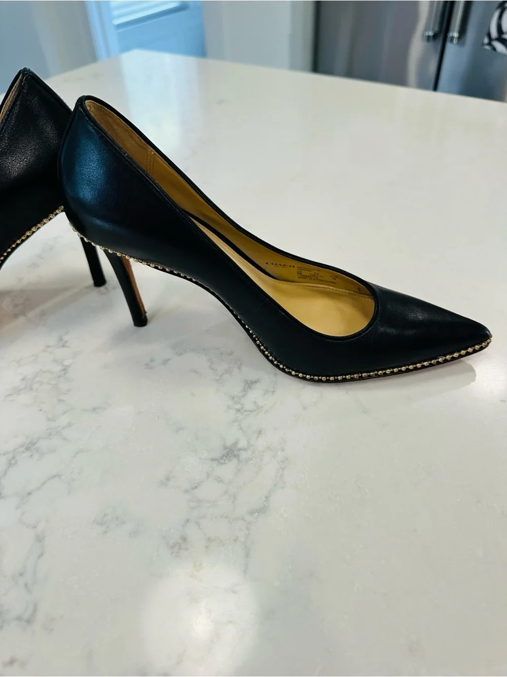 Coach Tamera Black Leather Pointed Toe Pumps with Gold Beaded Accent